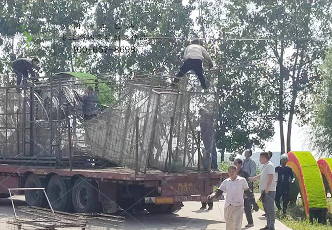 大型真植绿雕造型发货